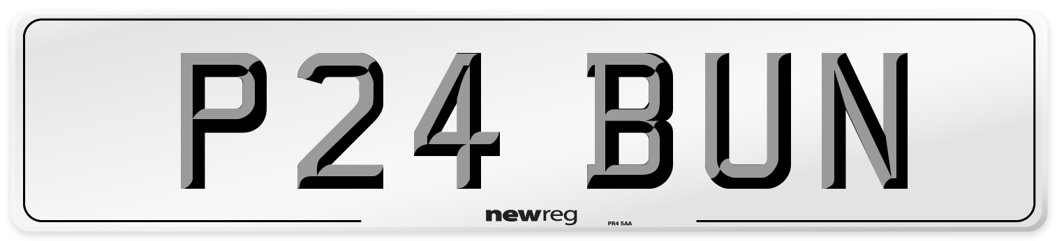 P24 BUN Number Plate from New Reg